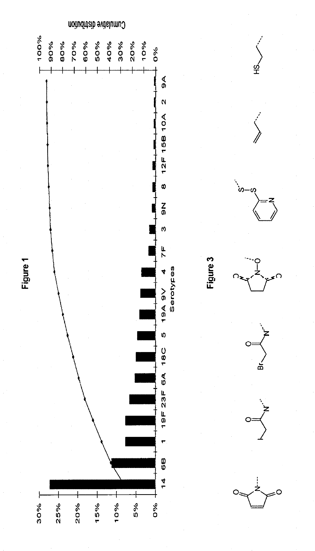 Synthetic vaccines against <i>Streptococcus pneumoniae </i>type 1