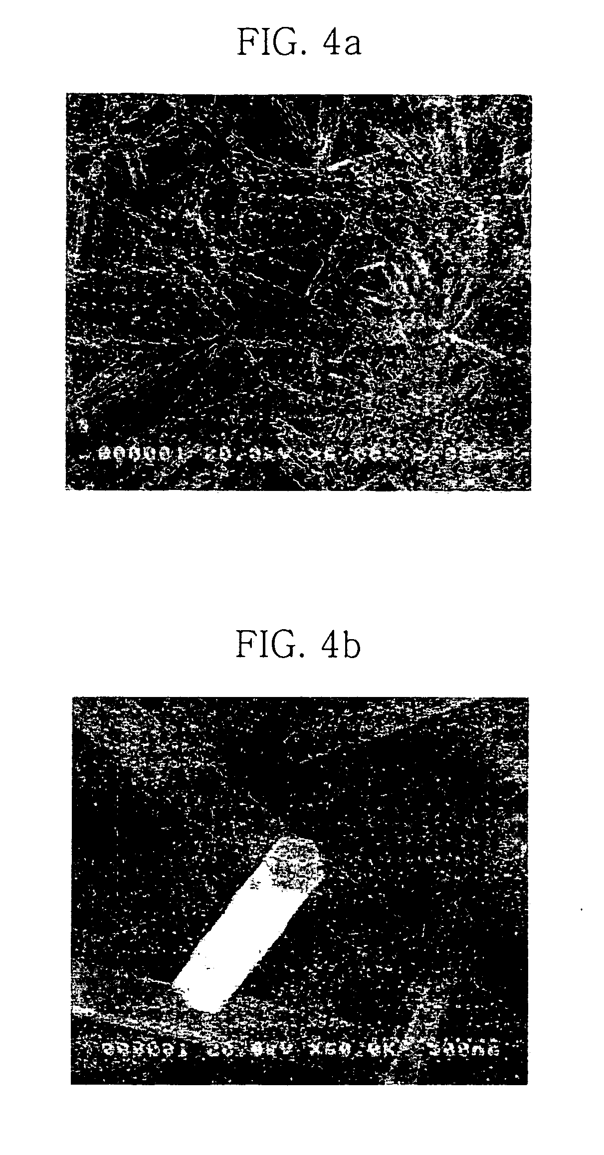 Method for preparing zinc oxide nanostructures and zinc oxide nanostructures prepared by the same