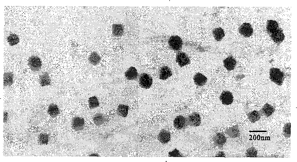 Hirudin albumin nanoparticles and preparation method thereof