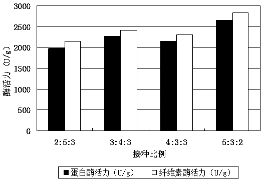 Method for mixed fermentation of biological feed by using pomace and distiller's grains as raw materials