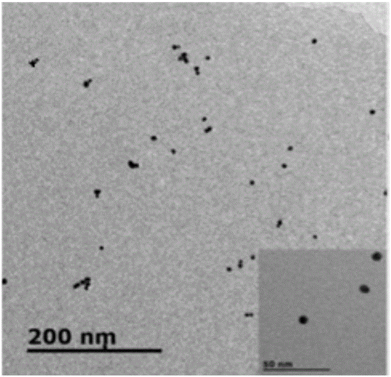 Method for detecting dopamine by utilizing 5-hydroxytryptamine-gold nanoparticles