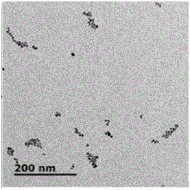 Method for detecting dopamine by utilizing 5-hydroxytryptamine-gold nanoparticles