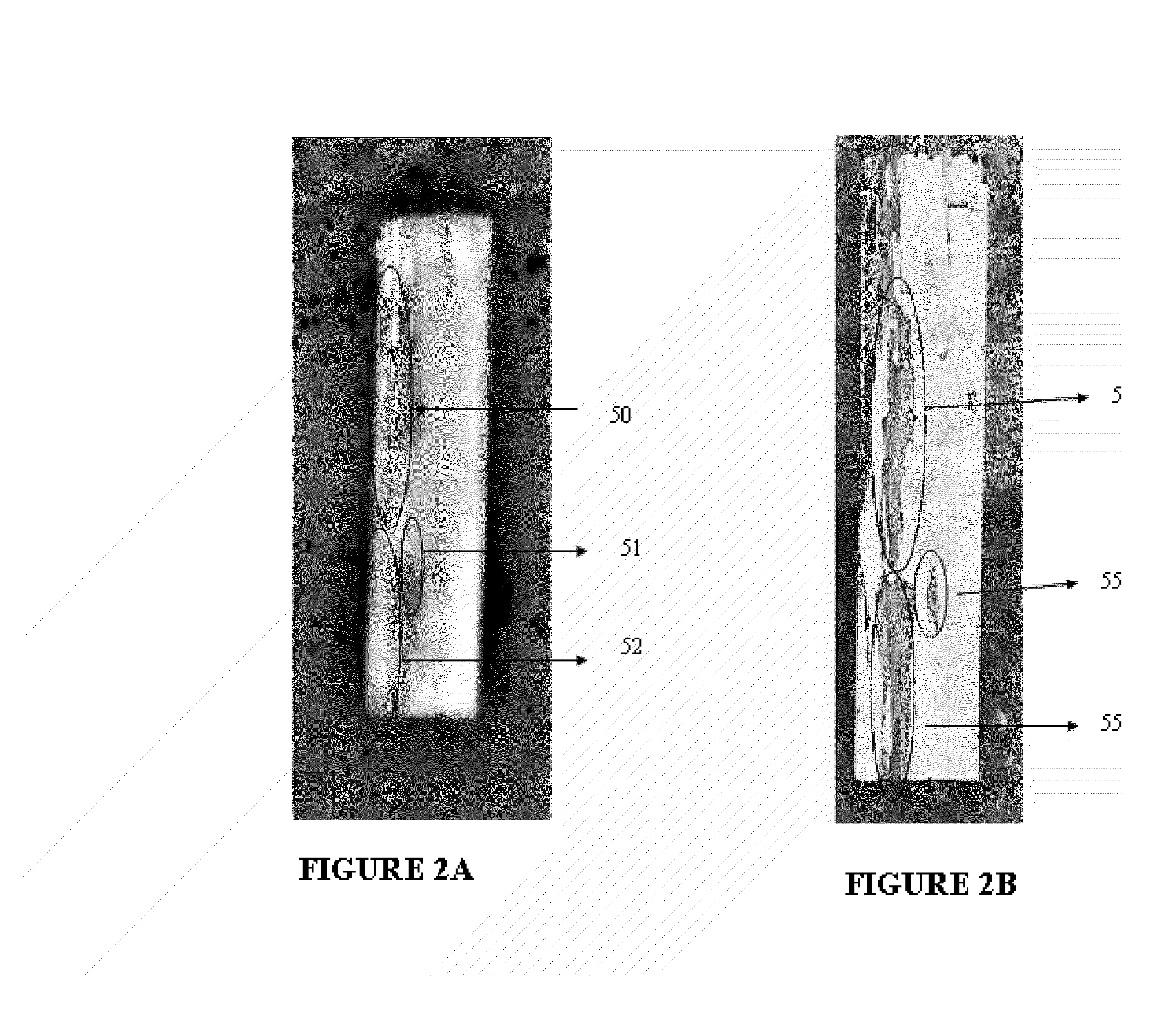 Method to detect termite infestation in a structure