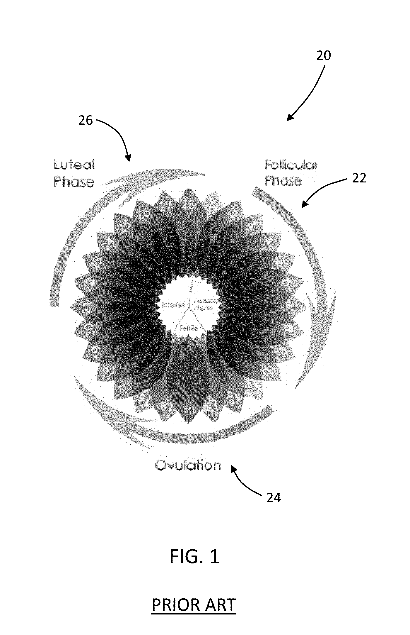 Health state monitoring device