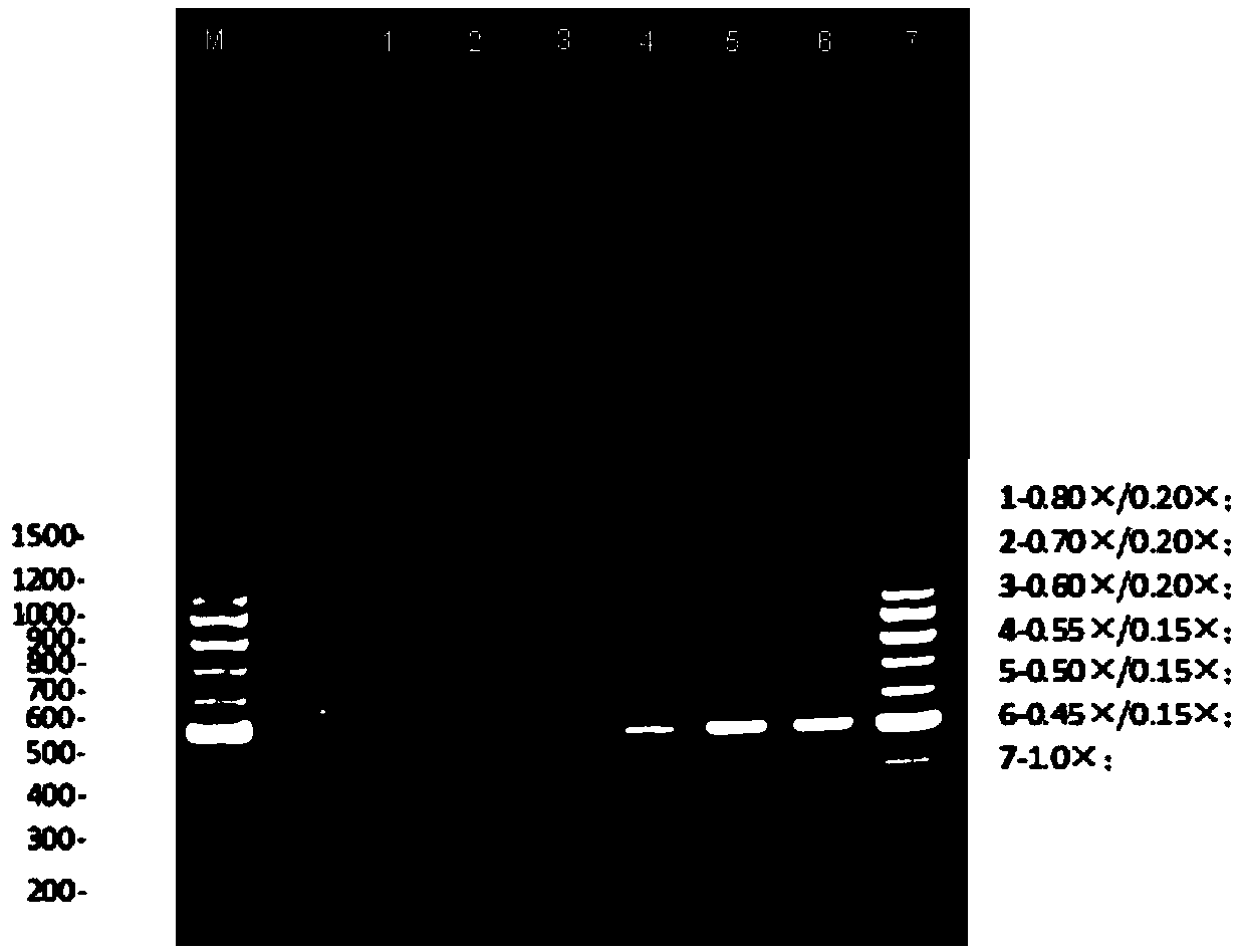 A kind of magnetic bead composition that improves nucleic acid extraction rate and application thereof