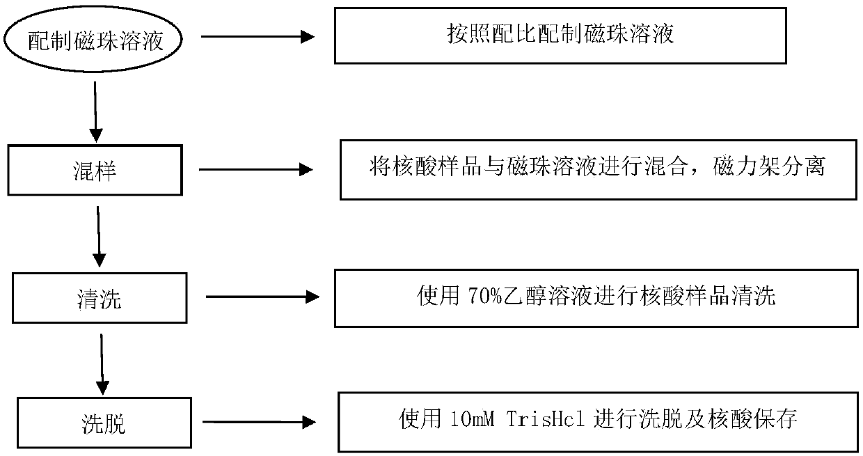 A kind of magnetic bead composition that improves nucleic acid extraction rate and application thereof