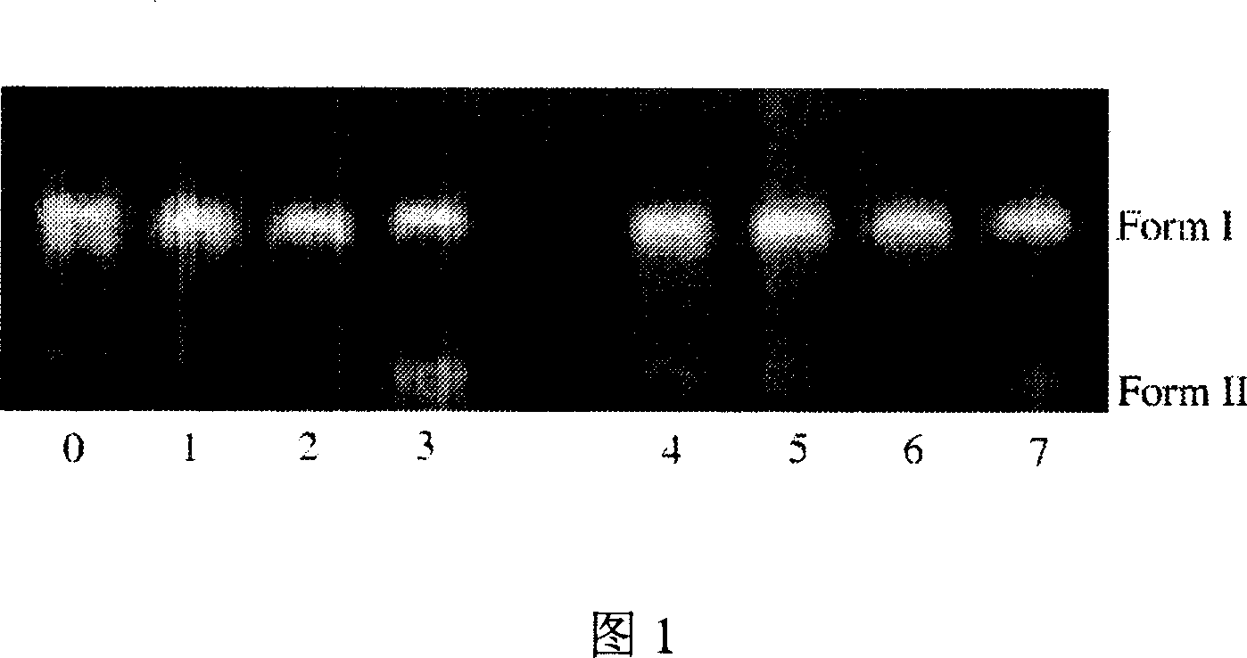 Ruthenium porphyrin complex and its prepn process and application as photosensitizer for photodynamic therapy