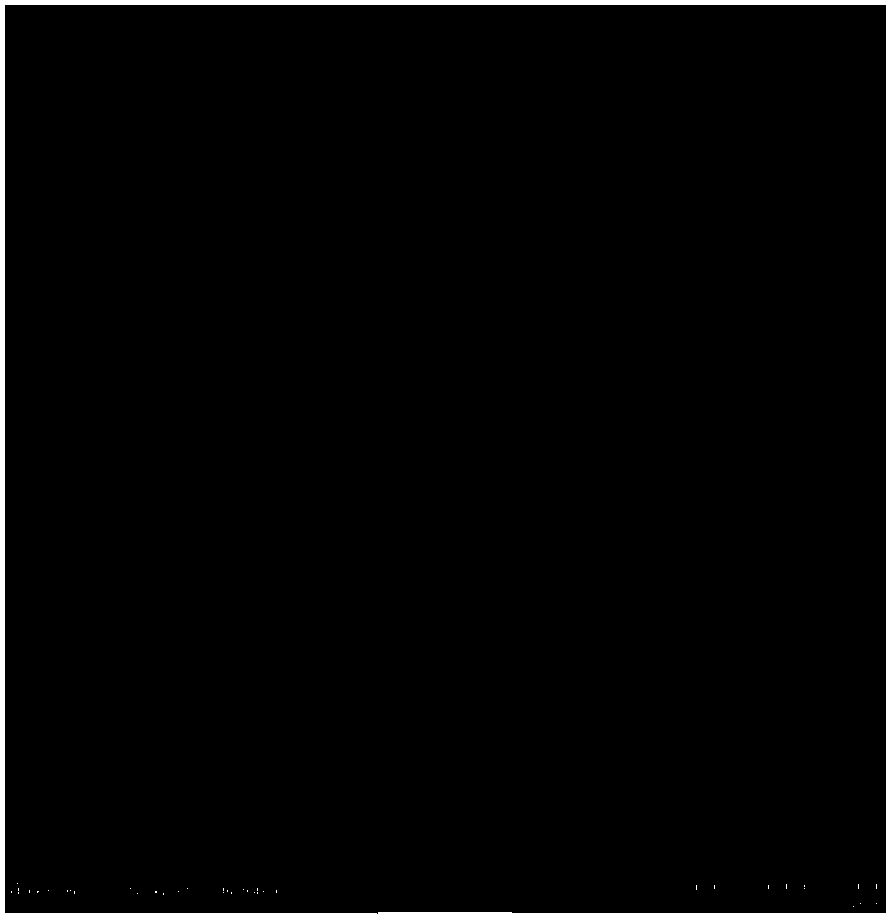 Rhodium/carbon nanotube catalyst and preparation method and application