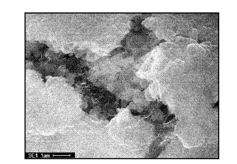 Method for repairing microorganisms in heavy metal contaminated soil