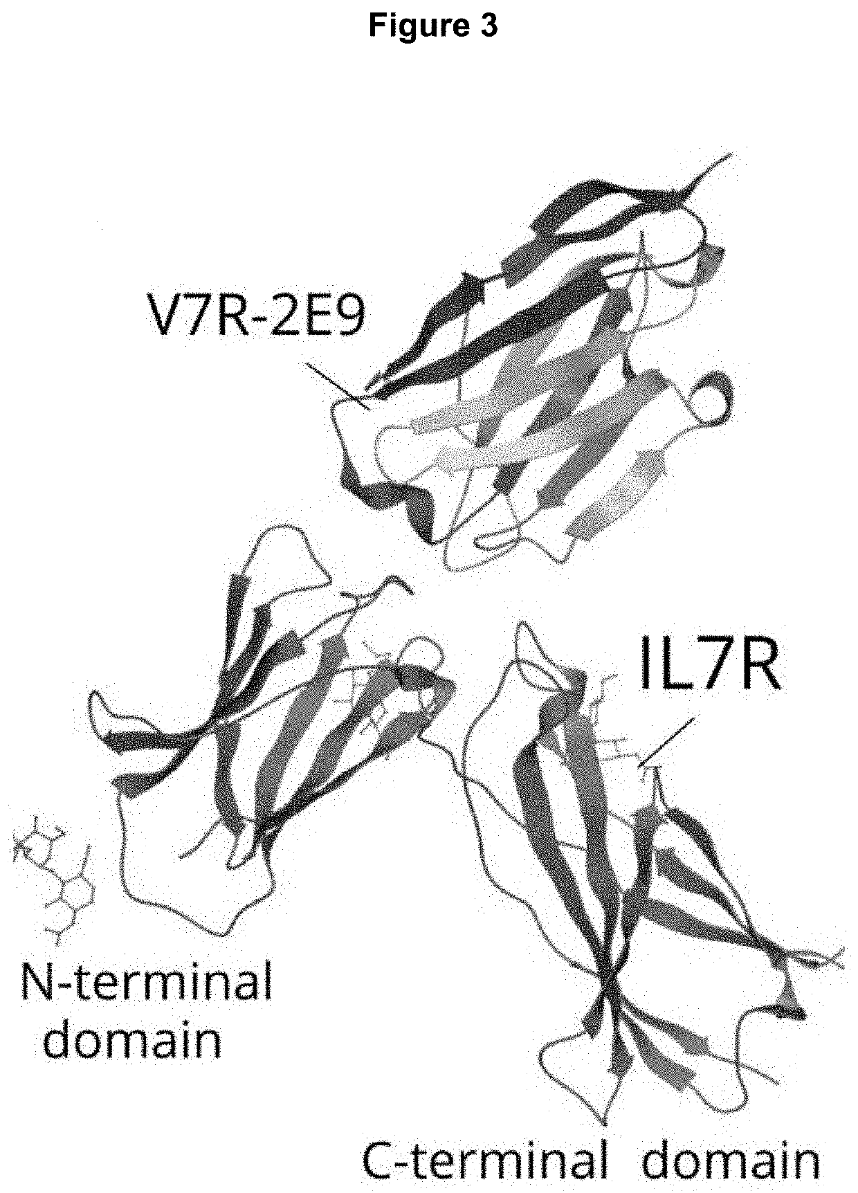 Polypeptides