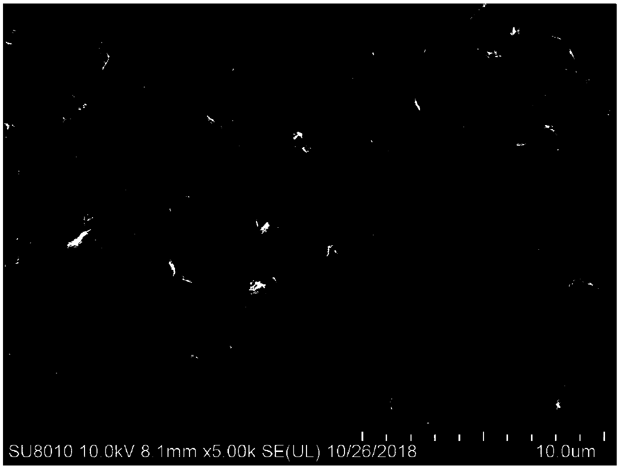 Carbon-coated silicon nanosheet, silicon-based composite and preparation methods of carbon-coated silicon nanosheet and silicon-based composite