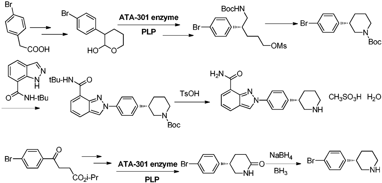 Key intermediate of PARP inhibitor and preparation method thereof