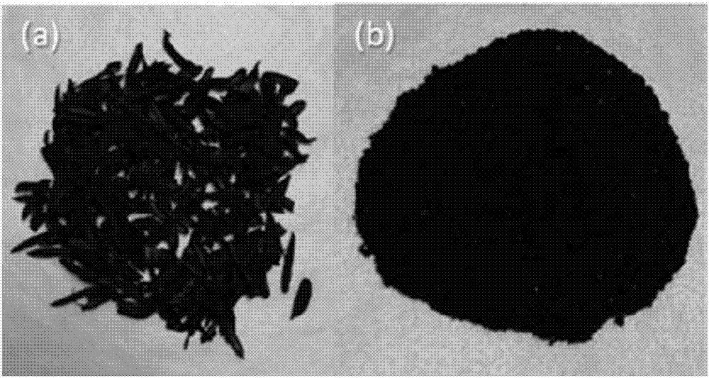 Preparation method of iron/carbon composite material