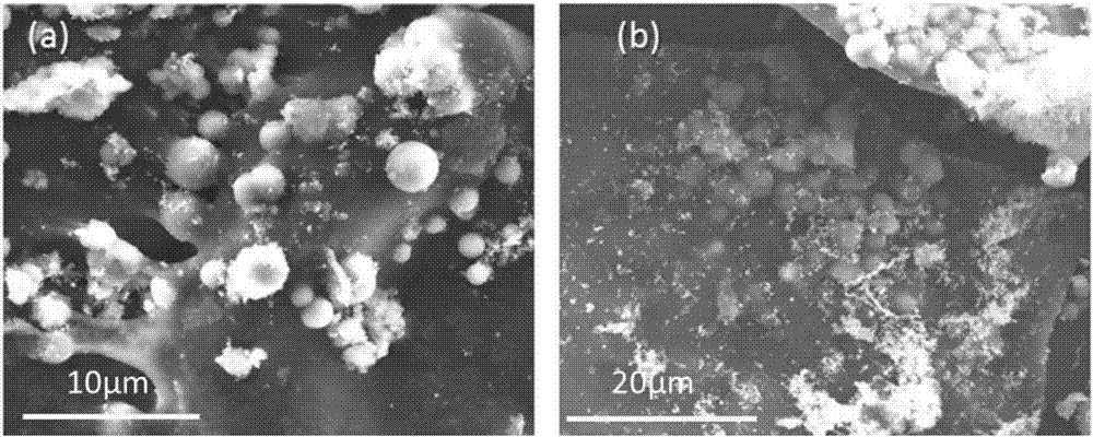 Preparation method of iron/carbon composite material