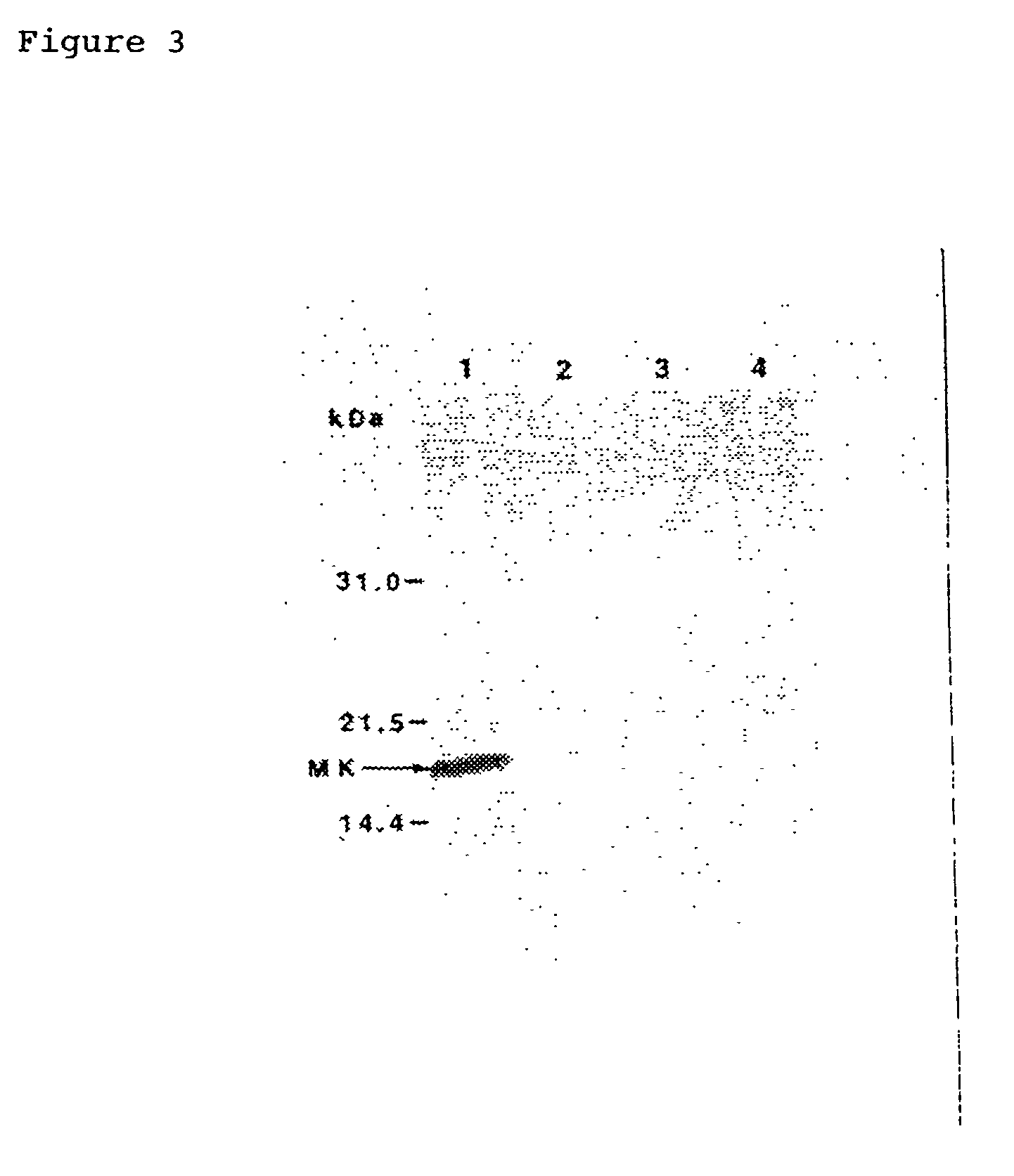 Agents comprising midkine or an inhibitor thereof as active ingredient