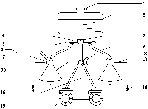 Multimode fixed-point watering device