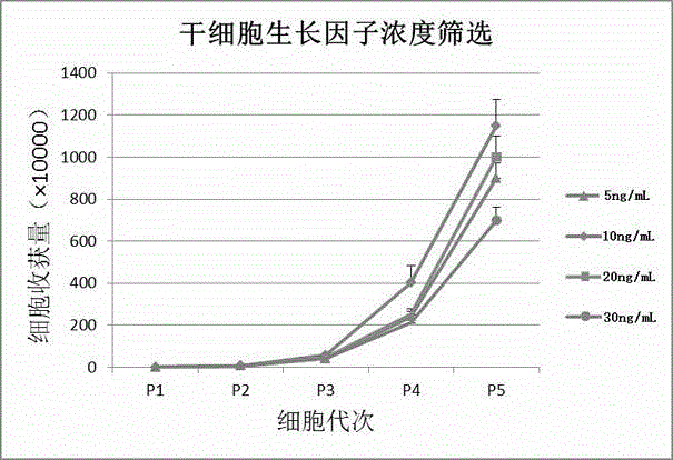 Serum-free adipose-derived stem cell culture medium and preparation method thereof