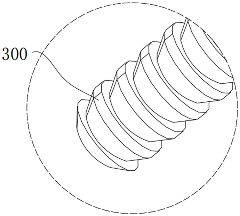 Bone screw and knotting-free bone setting system