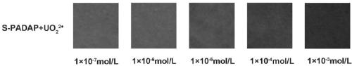 2-(5-bromine-2-pyridine-azo)-5-diethylaminophenol derivative as well as preparation method and application thereof