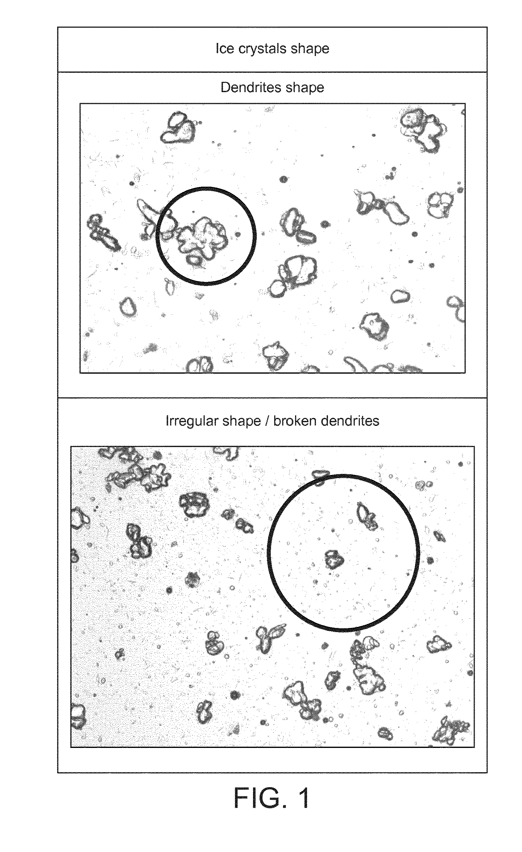 Liquid composition for frozen confection, methods of production and preparation