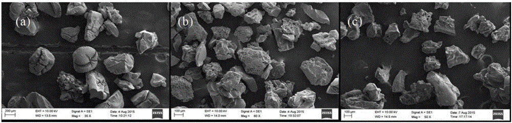 Carbon-based magnetic solid acid catalyst and application thereof in preparing biodiesel