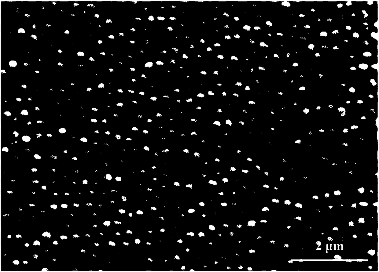 Preparation method of self restoration antibacterial microcapsule film based on host-guest interaction