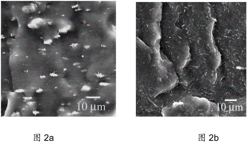 Preparing method for antioxidant-modified carbon nano tube/hydrogenated butadiene-acrylonitrile rubber