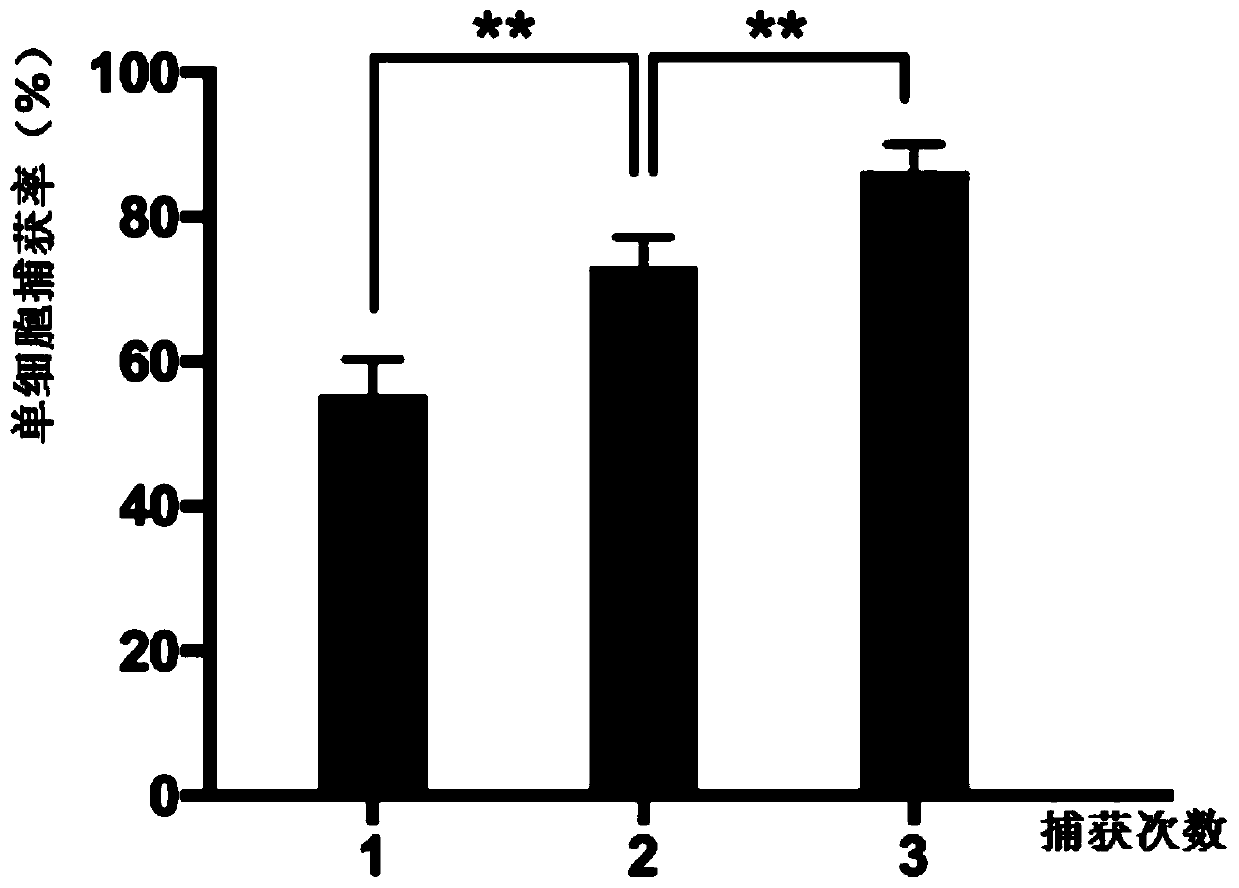 Single cell array chip and screening method for ion channel drugs