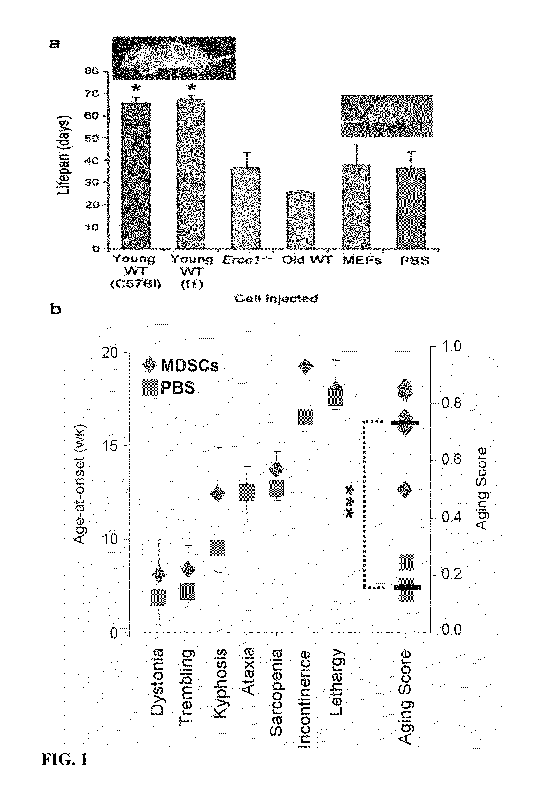 Compositions and Methods for Restoring or Rejuvenating Stem/Progenitor Cell Function