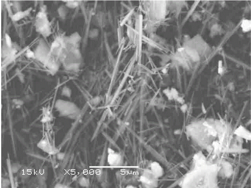 Method for recleaning vanadium-titanium magnetite concentrate through oxidative alkaline leaching and de-sliming