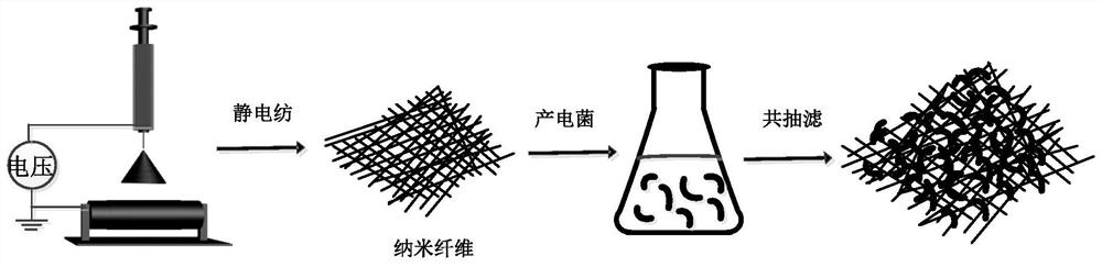 Preparation method of nanofiber/electrogenerating bacteria film for microbial fuel cell