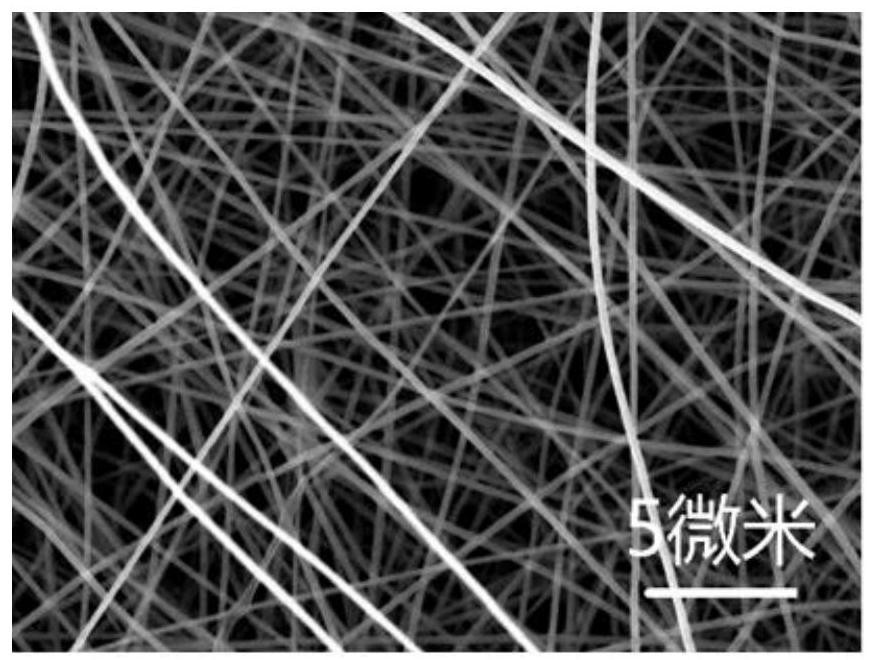 Preparation method of nanofiber/electrogenerating bacteria film for microbial fuel cell