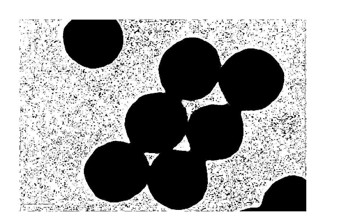 Core-shell type magnetic composite microsphere for separation and purification of recombinant proteins and preparation method thereof