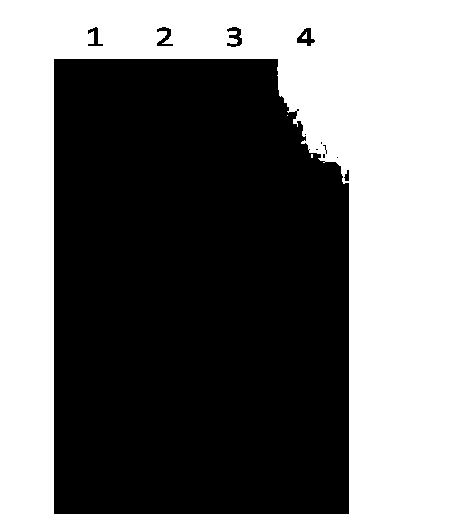 Core-shell type magnetic composite microsphere for separation and purification of recombinant proteins and preparation method thereof