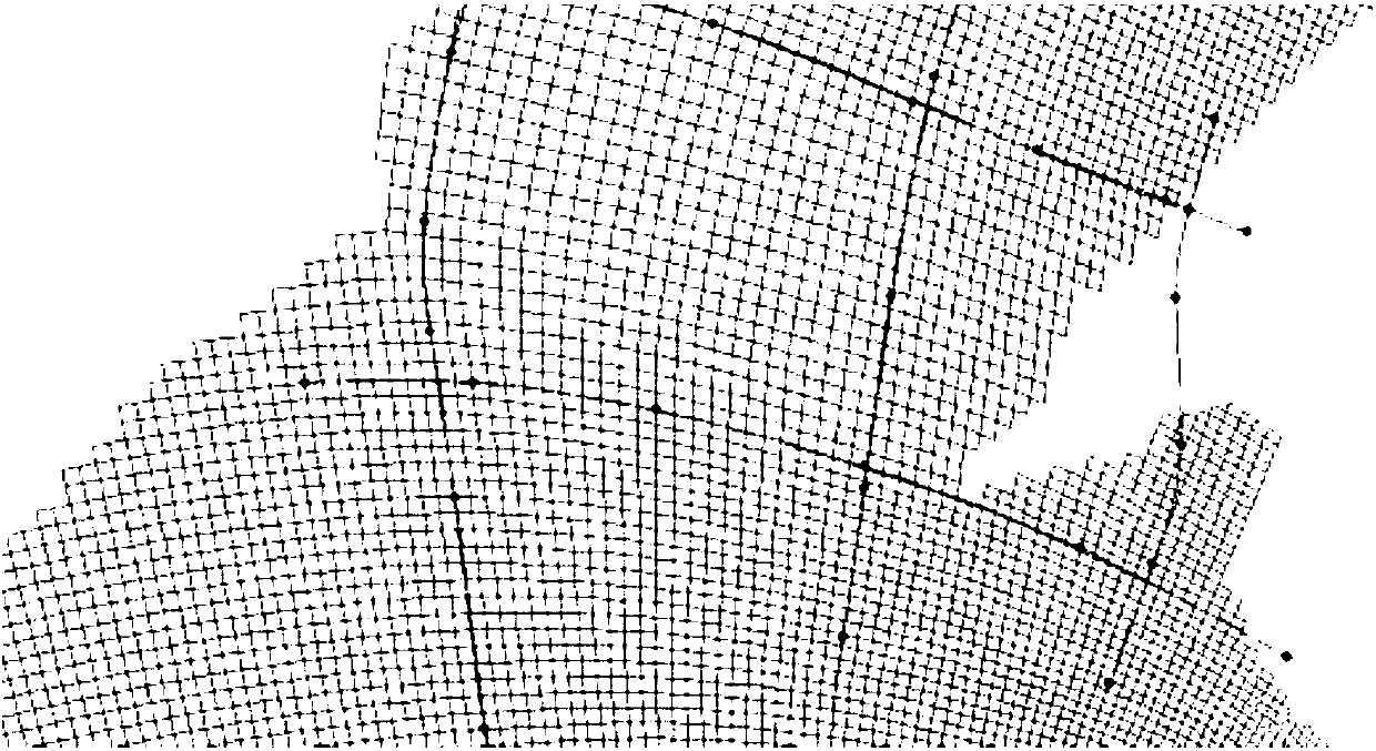 Grid processing method for basin complex terrain