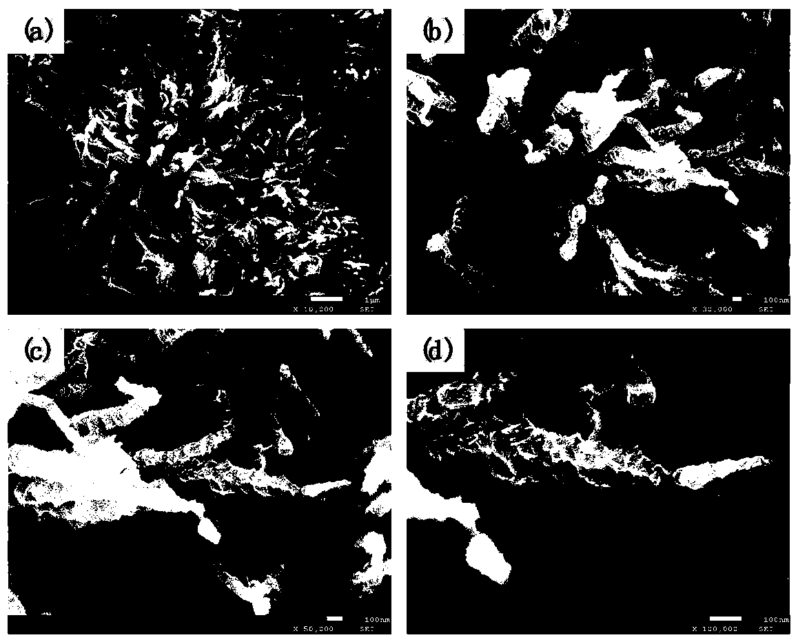 Preparation method of molybdenum disulfide nanosheet @ cobalt sulfide nanoneedle in-situ array electrode