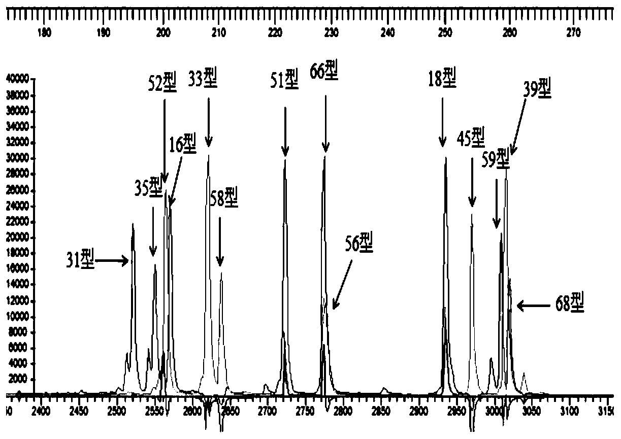 Reagent kit for detecting 14 high-risk HPV subtypes, and detection method