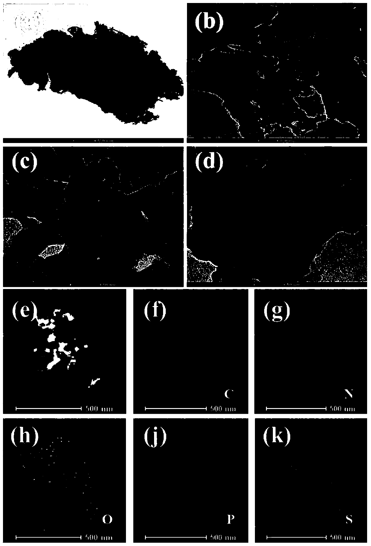 P and S codoped carbon nitride homotype heterojunction composite photocatalyst