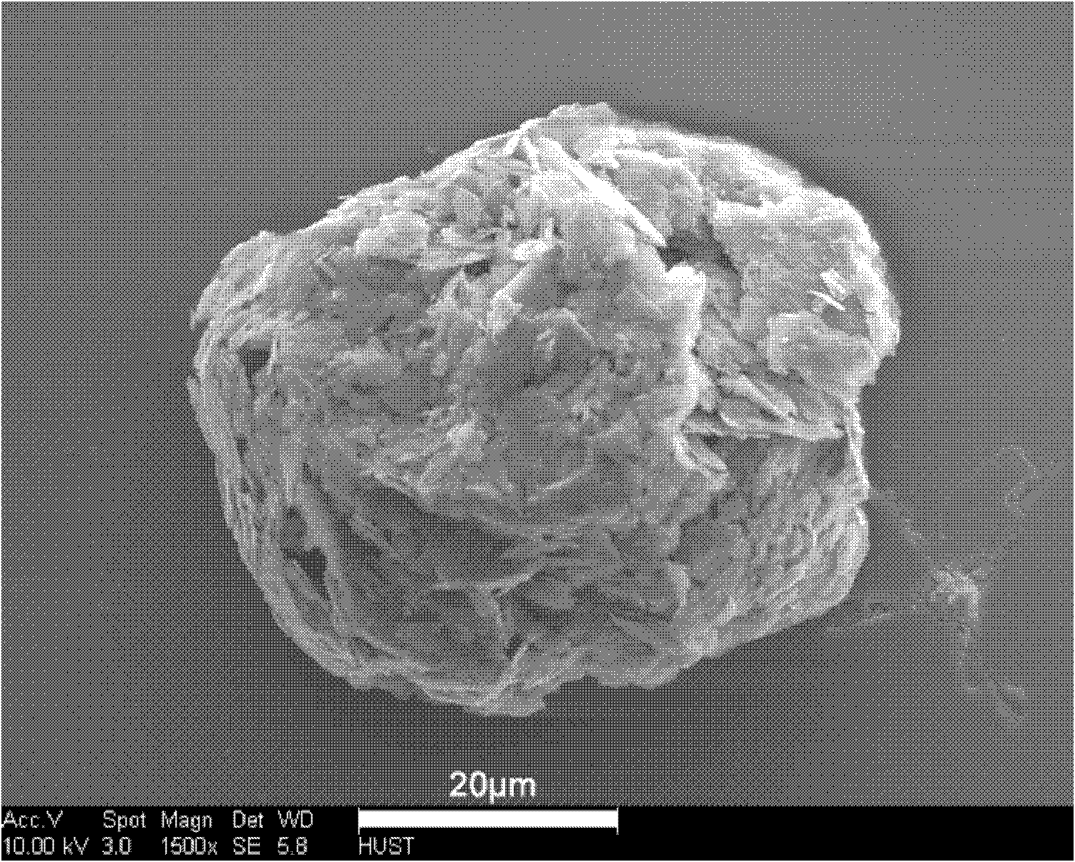 Different-orientation spherical natural graphite negative electrode material and preparation method thereof