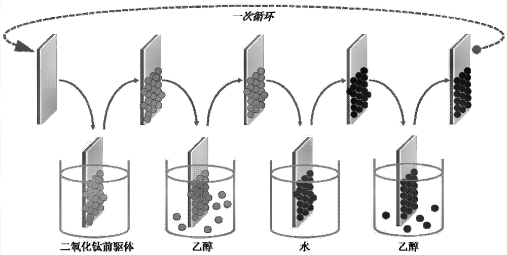 Multilevel structure titanium dioxide nanowire array and preparation method thereof