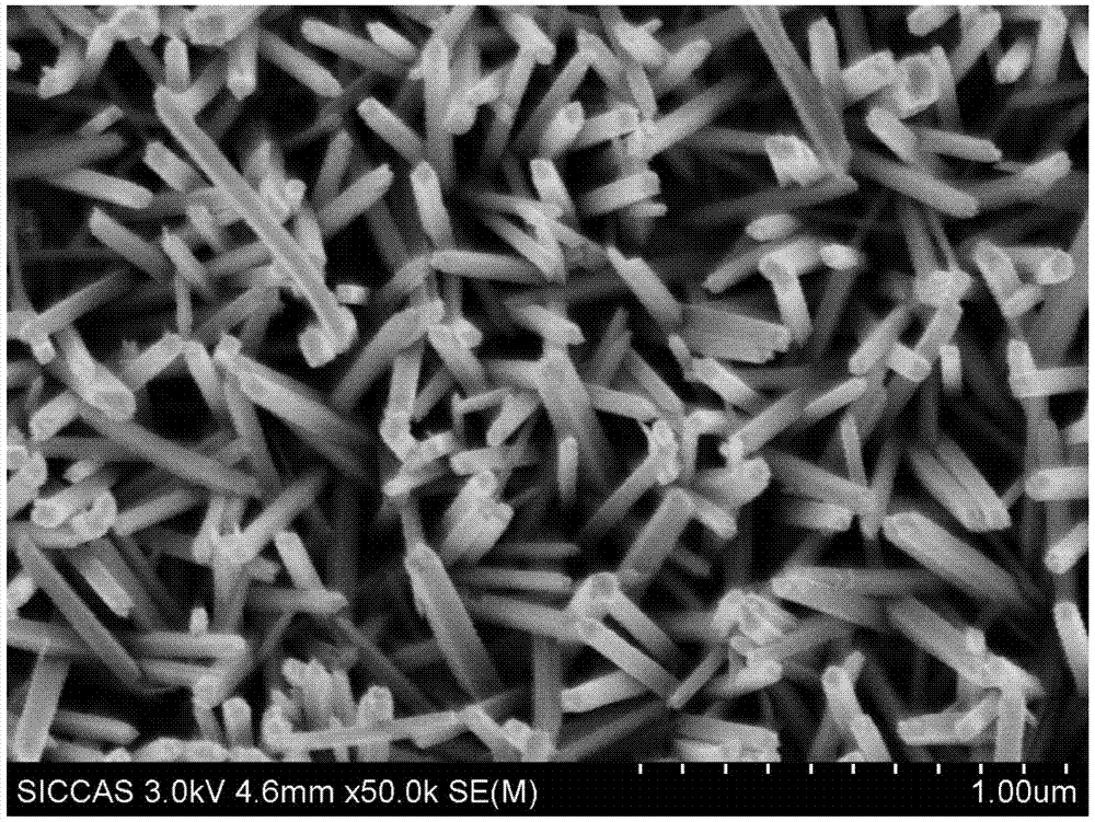 Multilevel structure titanium dioxide nanowire array and preparation method thereof