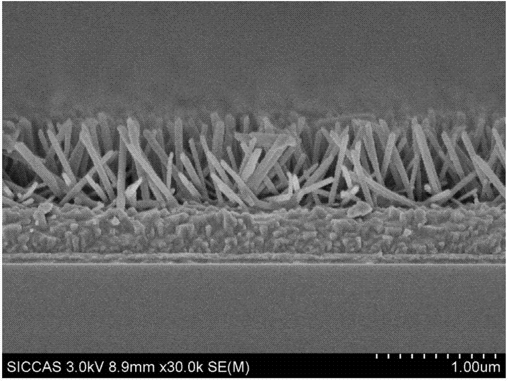 Multilevel structure titanium dioxide nanowire array and preparation method thereof