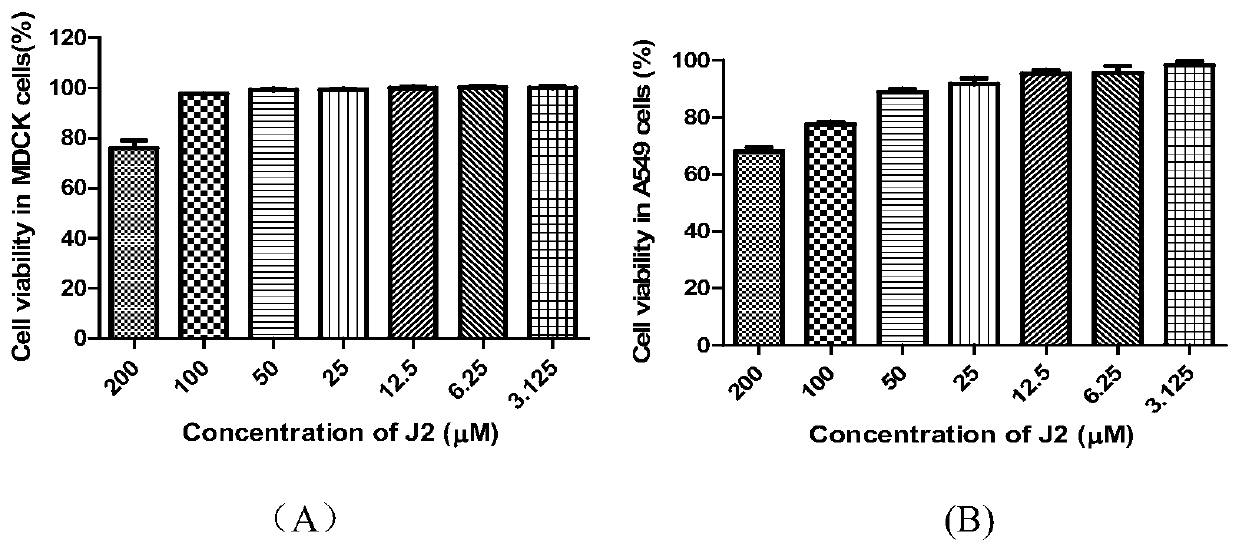 Application of 1,3-dihydroxy-6-benzo[c]chromenone in the preparation of anti-influenza virus drugs