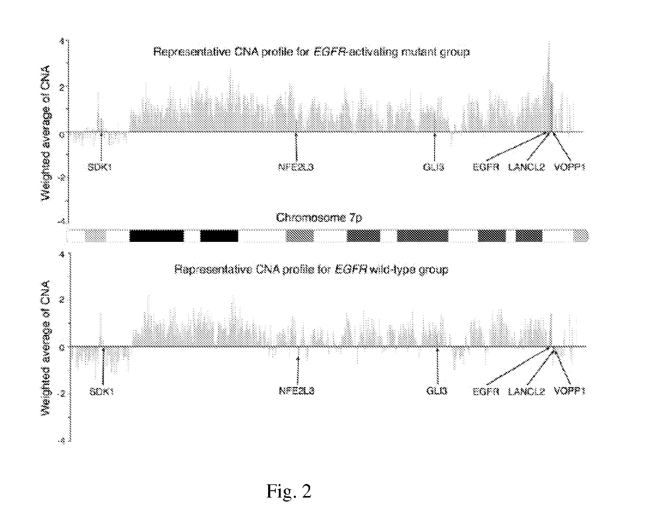 Method for predicting response or prognosis of lung adenocarcinoma with egfr-activating mutations