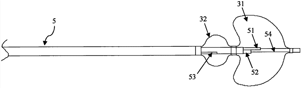 Cryoablation catheter with heat insulation capsule