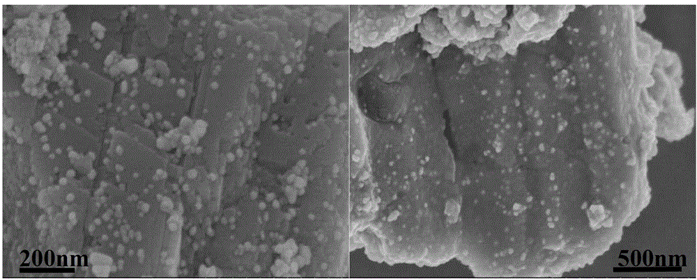 Biological composite material loading nano-silver particle