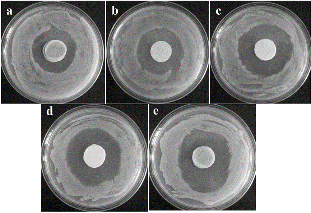 Biological composite material loading nano-silver particle