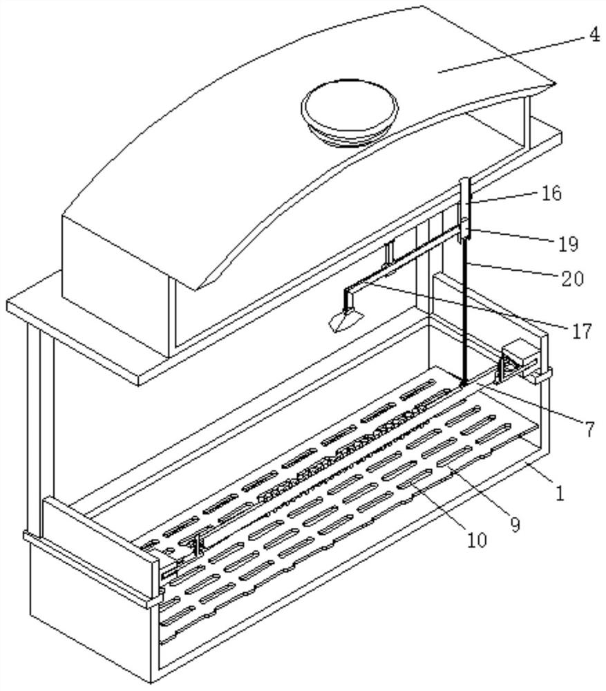 Automatic water supply bathing device for adult parrots