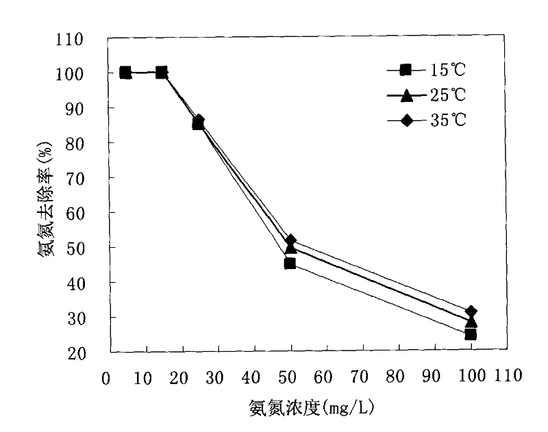 Preparation method of ammonia nitrogen adsorbent by utilizing southern magnolia and application of adsorbent