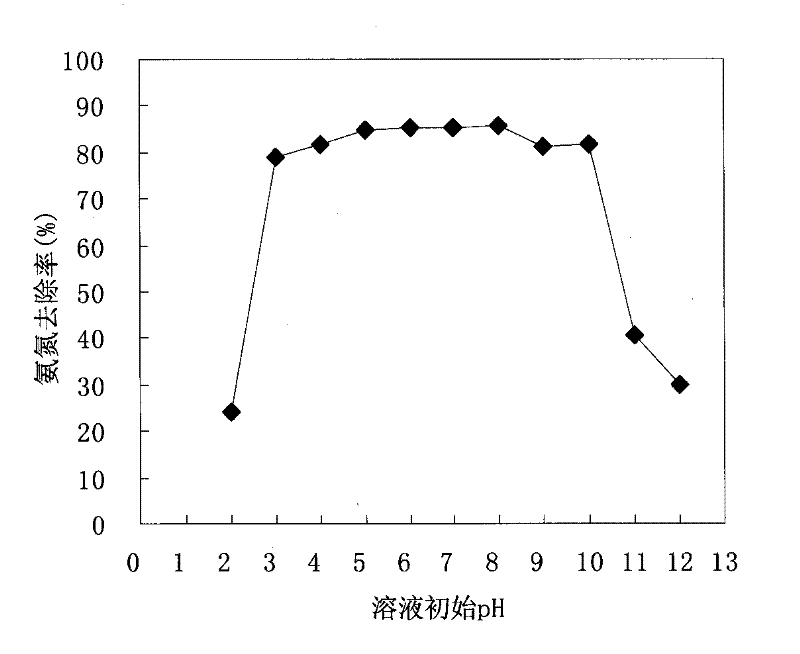 Preparation method of ammonia nitrogen adsorbent by utilizing southern magnolia and application of adsorbent